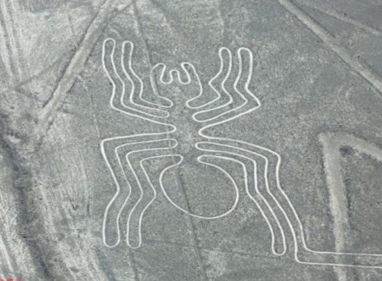 秘鲁|2000多年前，秘鲁的沙漠出现巨型动物图案，究竟是谁留下的？