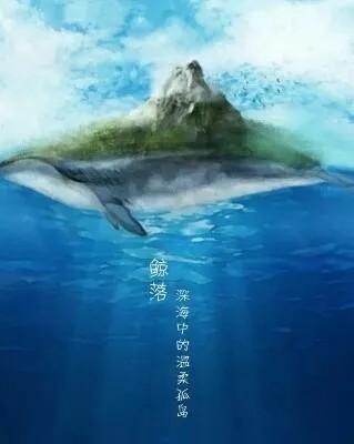 鲸落一头鲸给大海最后的温柔
