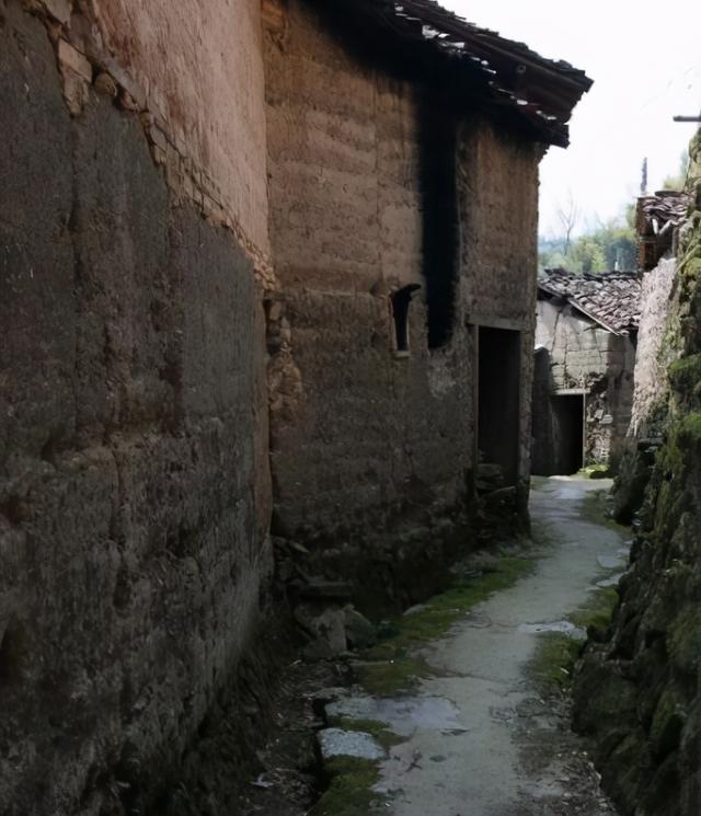 浙西南的民居的标配版筑黄墙黑瓦,松阳县赤岩村