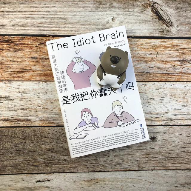 大脑|为什么聪明人吵架更容易输？你不可不知的大脑BUG