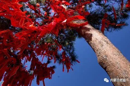 北京|我在北京十三年，就去过这么几个地方