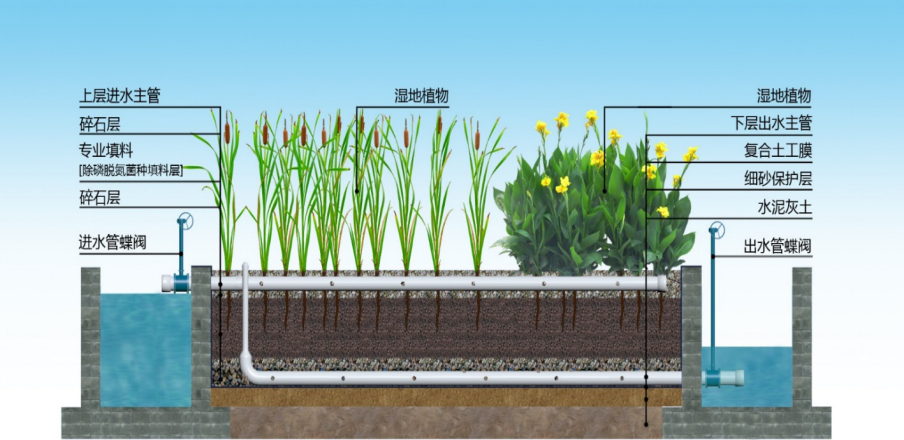 成都这个公园不一般地下藏着一座污水处理厂