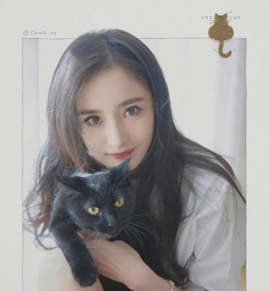 杨幂抱猫照美到发光侧颜无敌惊艳不已而她脸上的伤让粉丝心疼