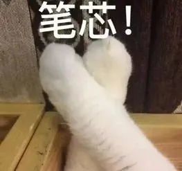 浙江卫视|这才是我们年轻人想要看到的晚会！