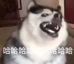 浙江卫视|这才是我们年轻人想要看到的晚会！