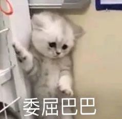 浙江卫视|这才是我们年轻人想要看到的晚会！