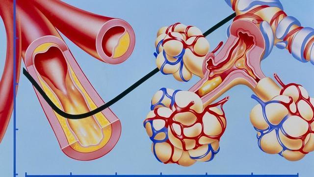 症状|血液黏稠会有哪些症状？如何判断调理？本文讲出实情