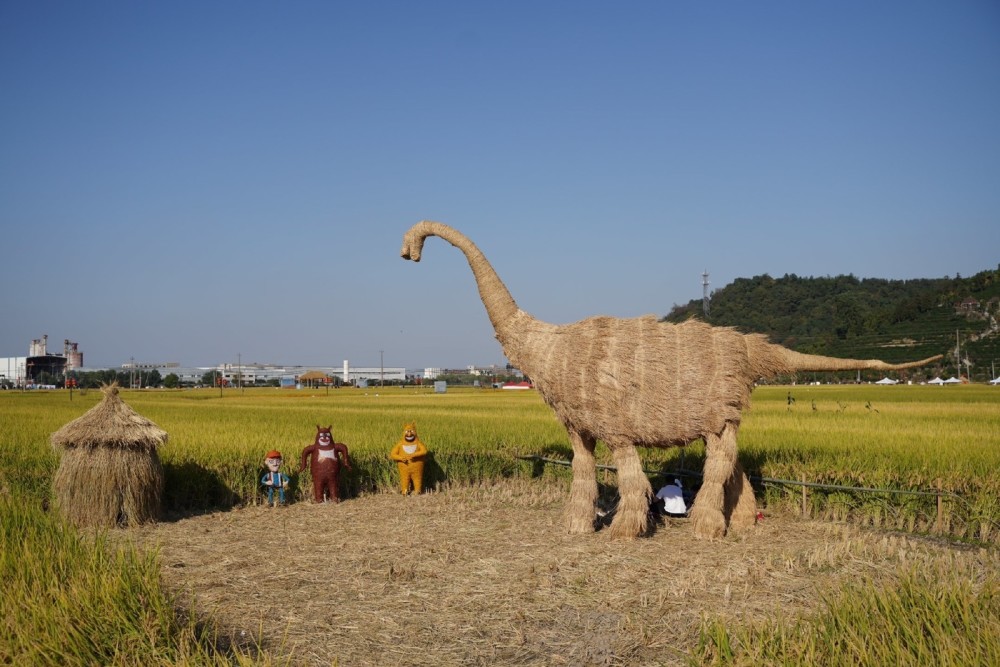 富阳渔山村是国家重点稻米基地这儿的稻谷有山泉水的温暖