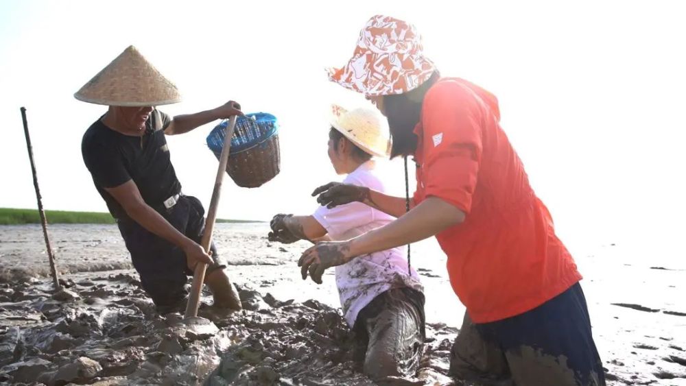 雪菜|普通食材也能四两拨千斤吗？只要做法够硬核，那都不是事儿！