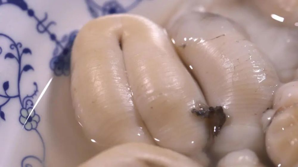 雪菜|普通食材也能四两拨千斤吗？只要做法够硬核，那都不是事儿！