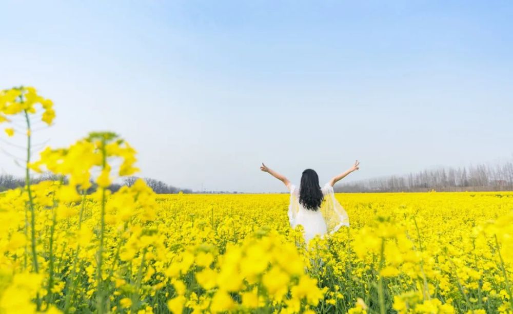 读好书|人生五大幸事，得一足矣