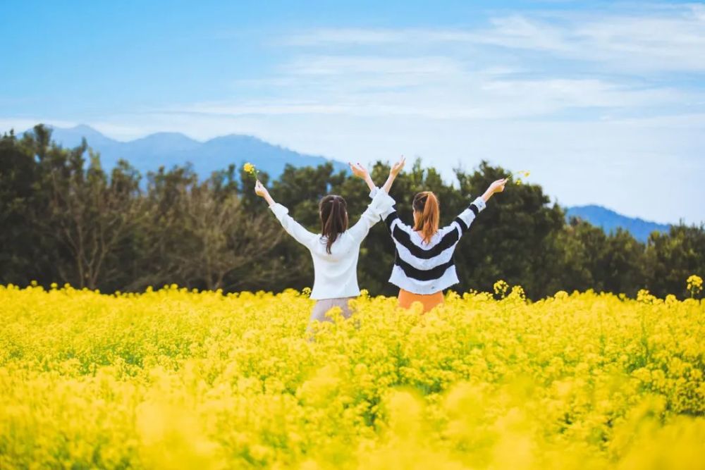读好书|人生五大幸事，得一足矣