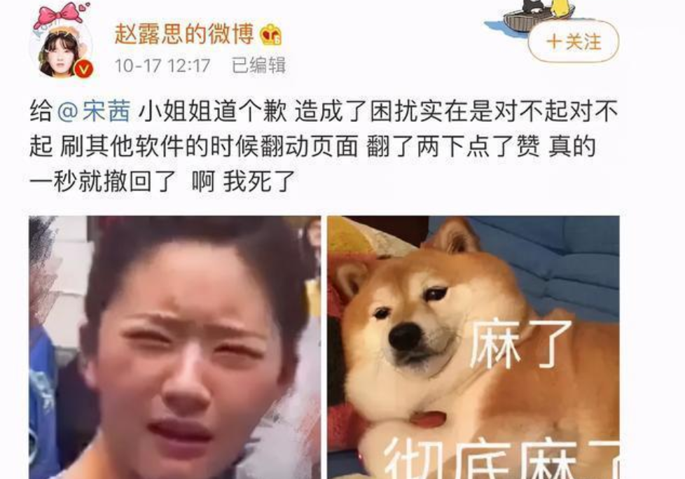 赵露思|被肖战粉斥责被于正内涵？赵丽颖宋茜纷纷被牵连，赵露思好友发声澄清