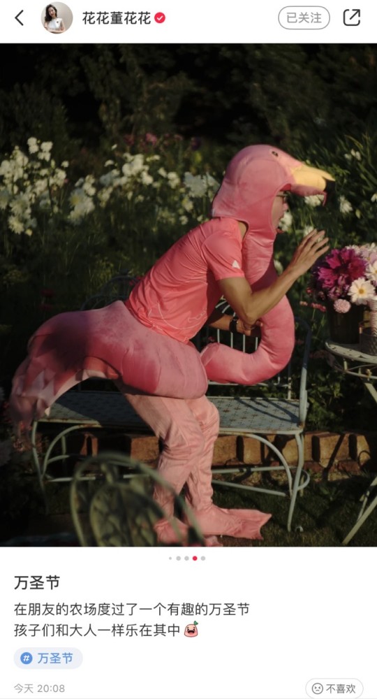 董花花|董花花参加万圣节party，蒋凡罕见陪妻子出席，扮粉恐龙超可爱