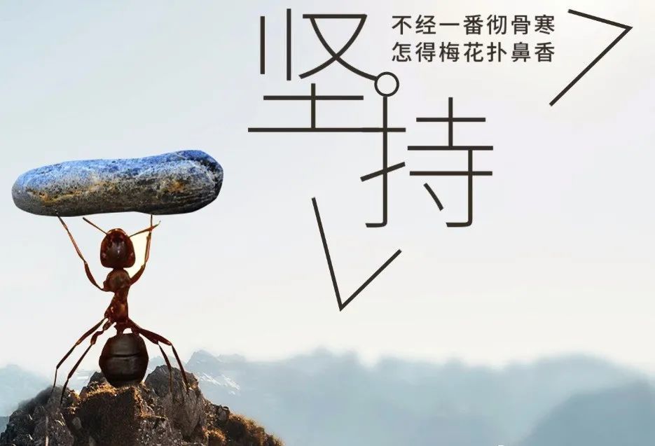 有一种力量,叫做坚持(深度好文)_腾讯新闻