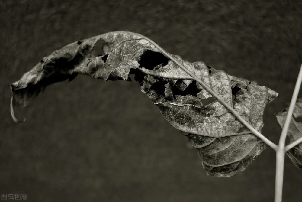 濒死体验|死亡是一种什么样的体验？濒死状态下14种死亡体验揭秘