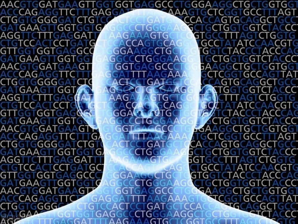 濒死体验|死亡是一种什么样的体验？濒死状态下14种死亡体验揭秘