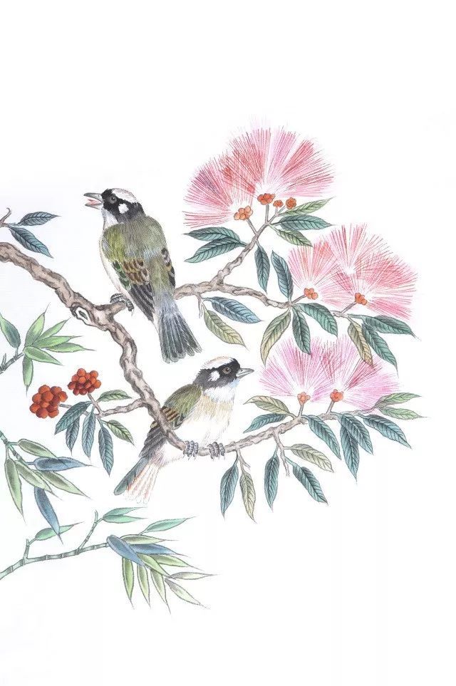 史铁生:合欢树_腾讯新闻