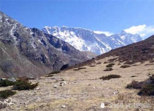 冰川|珠穆朗玛峰长草了？学者：这不是个好消息，10亿人或将无家可归