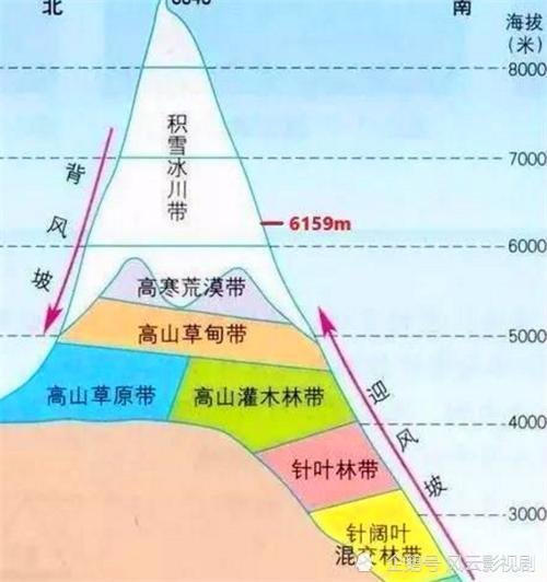 冰川|珠穆朗玛峰长草了？学者：这不是个好消息，10亿人或将无家可归