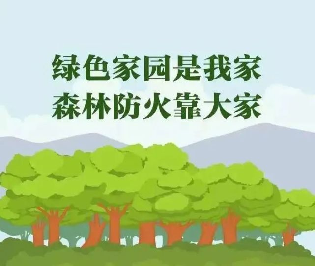 【護林防火專項整治】森林防火,時刻銘記!