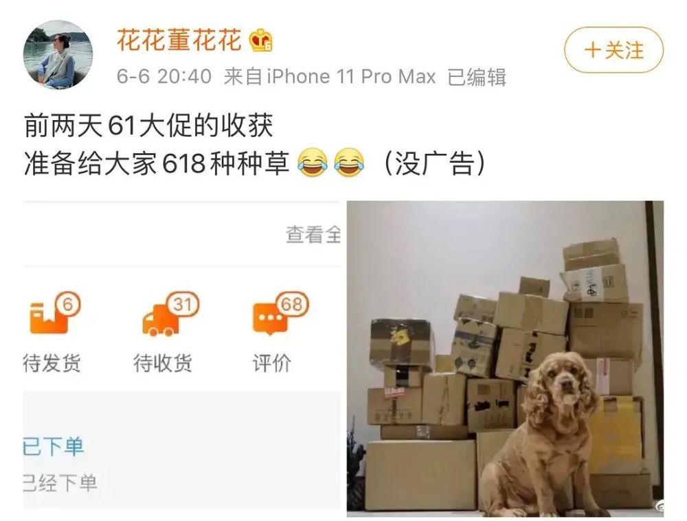 董花花|董花花宣战196天后才彻底清醒…