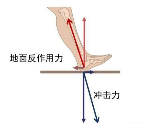 跑步的步频和步幅 最全的干货在这里了 腾讯网