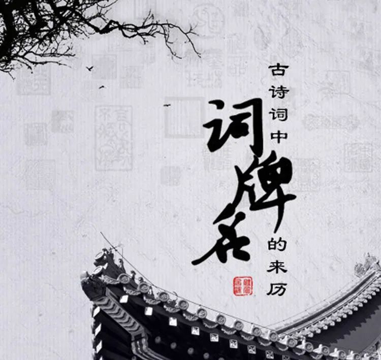 卜算子·咏梅|念奴娇、如梦令、卜算子，雨霖铃，千奇百怪的词牌名是怎么来的？