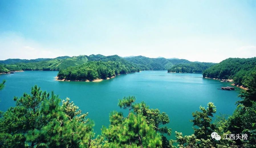 人们都津津乐道,赣州的美食大多在小吃一条街钓鱼台,有金黄的板栗