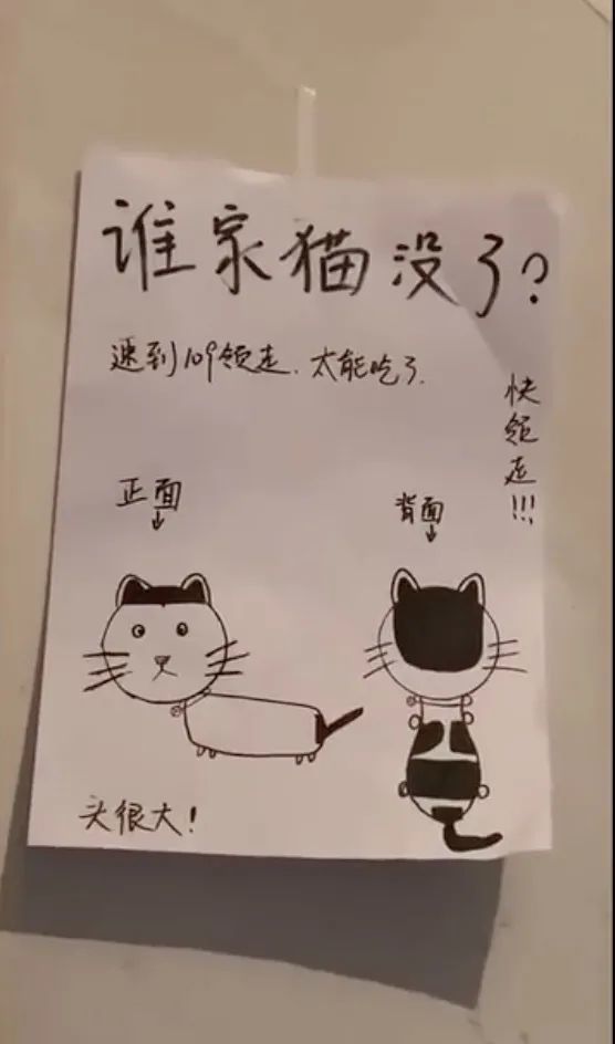 这画简直一笔传神,入木三分 传神到"自带密码锁" 大概只有猫咪真正的