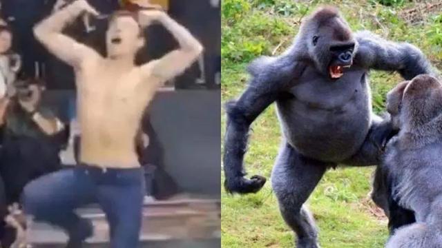 张艺兴|张艺兴沉浸跳舞脱衣脱鞋，被指用力过猛太油腻，像是大猩猩进澡堂