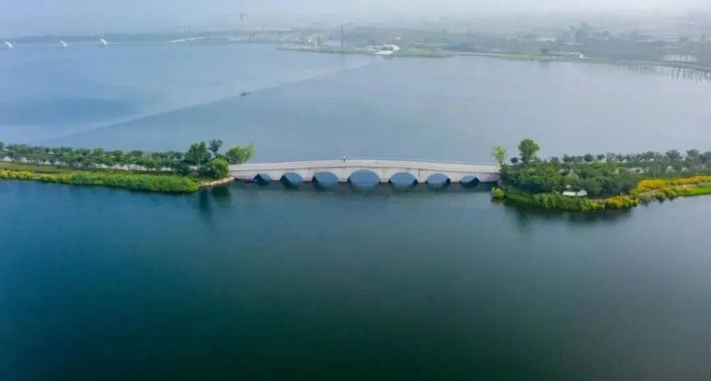 聚焦|【美丽嘉兴】银杏天鹅湖——嘉兴城北的天然"绿肺"_腾讯新闻