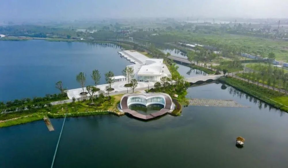 聚焦|【美丽嘉兴】银杏天鹅湖——嘉兴城北的天然"绿肺"_腾讯新闻