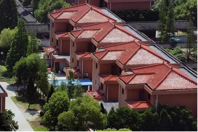 山东有一"土豪村",人均身家超千万,拥有多项全国第一|南山村|改革开放