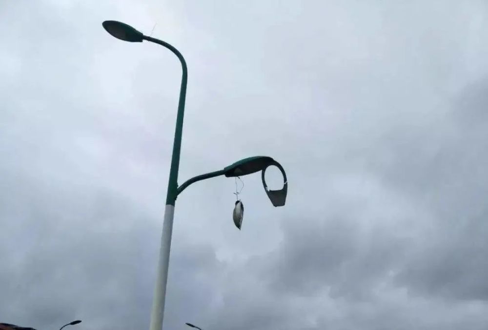 (网络配图)来源:大洋河网友点亮小花