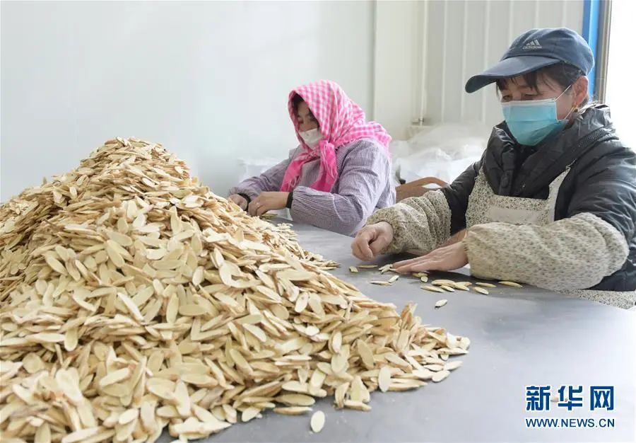 在甘肃省临夏回族自治州永靖县刘家峡镇,工人在扶贫车间里分拣中药材