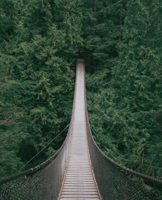 心理测试:你觉得哪一条独木桥最难走,测你内心最恐惧的是什么?