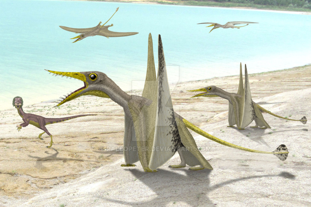 很小,为了躲避更大的食肉动物,侏罗猎龙会选择在夜幕降临之后出来觅食