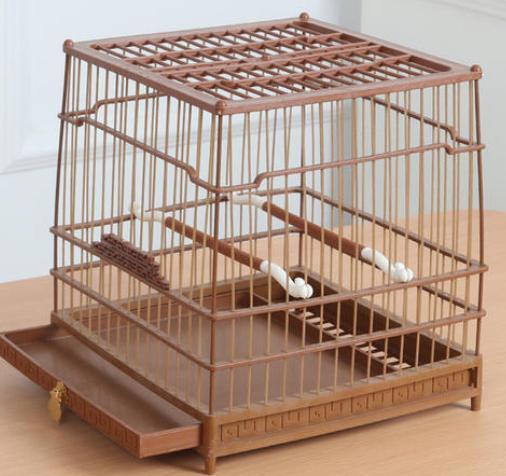 心理学测试三个鸟笼子你最反感哪一个测你被啥禁锢了自由