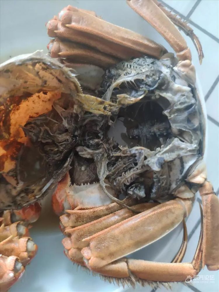 某电商平台买来"鲜活"螃蟹,宁波吃货一下锅,快哭了