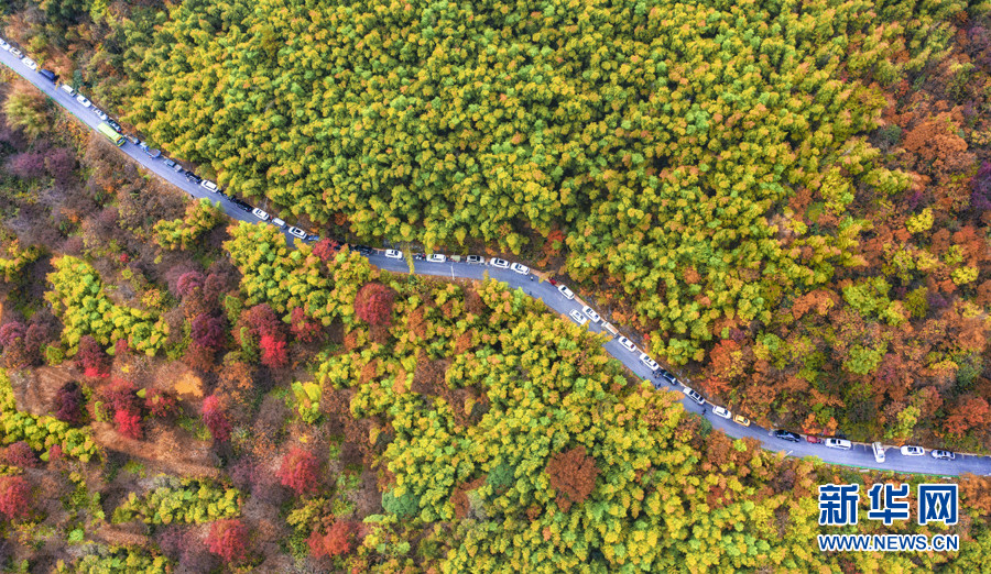 石台七井山盘山公路图片