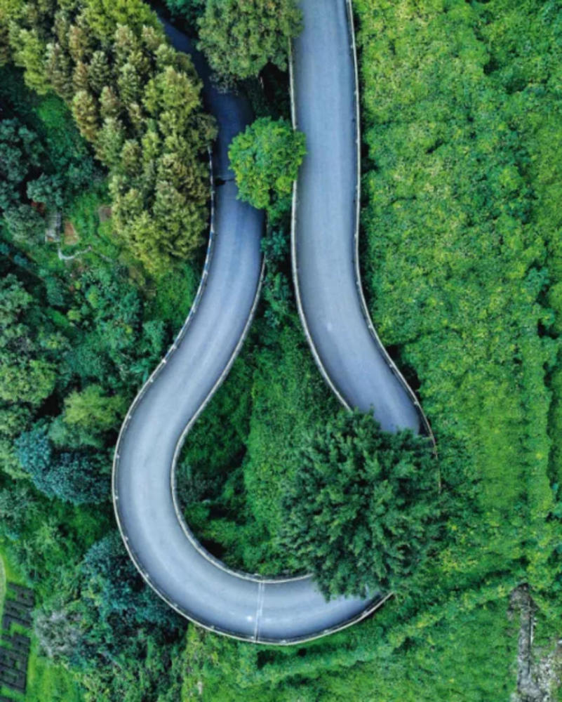 两江新区|“发现两江之美·最美的你”美术书法摄影展将迎颁奖盛典