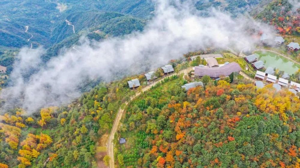 江油观雾山层林尽染 漫山斑斓!_腾讯新闻