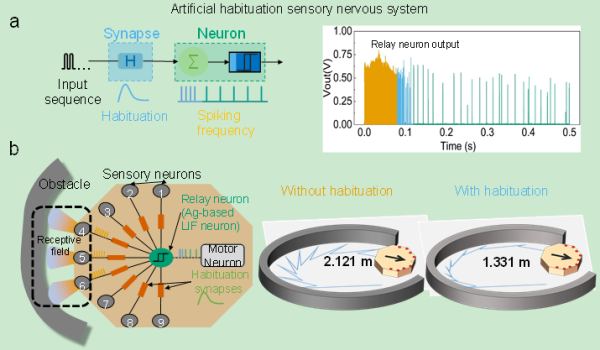 忆阻器|忆阻器基感知计算研究获进展