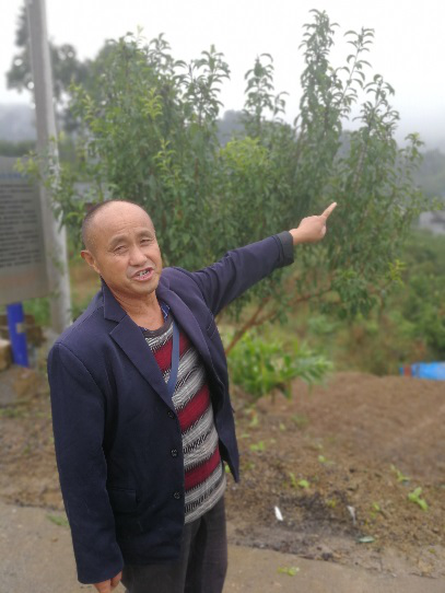 卢茂双:"没有路,以前的水果想运都运不出去.