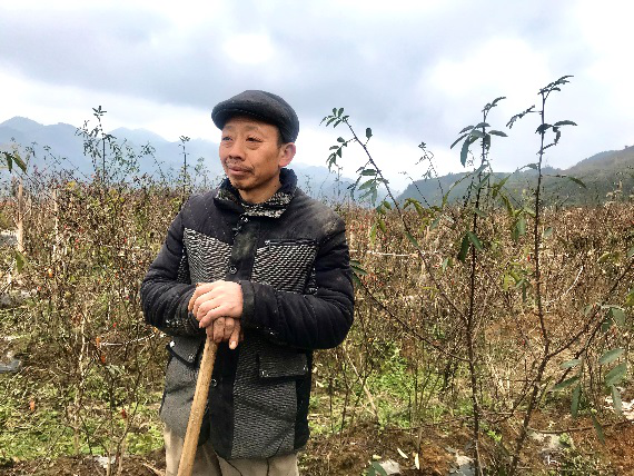 村民彭永学通过种植花椒实现了脱贫卢茂双通过山里红水果专业合作社