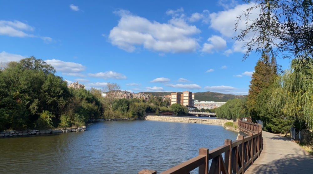 【学习】"学习强国"上的甘井子|大连甘井子区红旗街道:秋日街景美如画