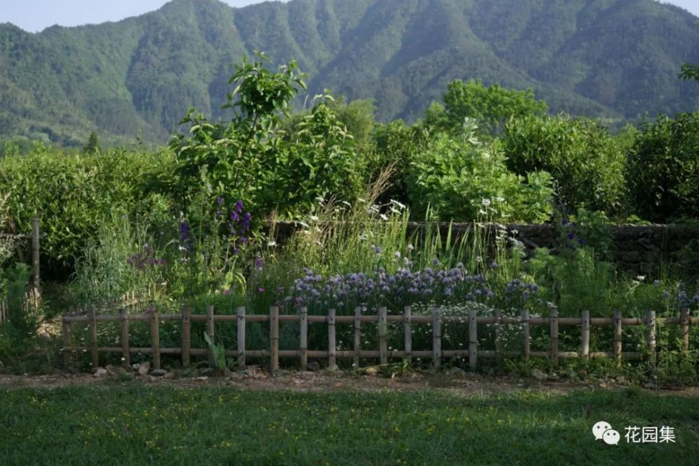 的老爸準備的,後面慢慢擴充增加了小可果園,茶園,池塘,還有若干花圃