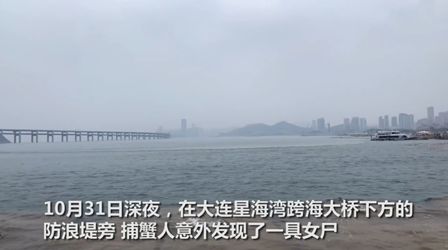 事情还得从10月25日零时回说起,当时星海湾大桥防护栏附近一名年轻