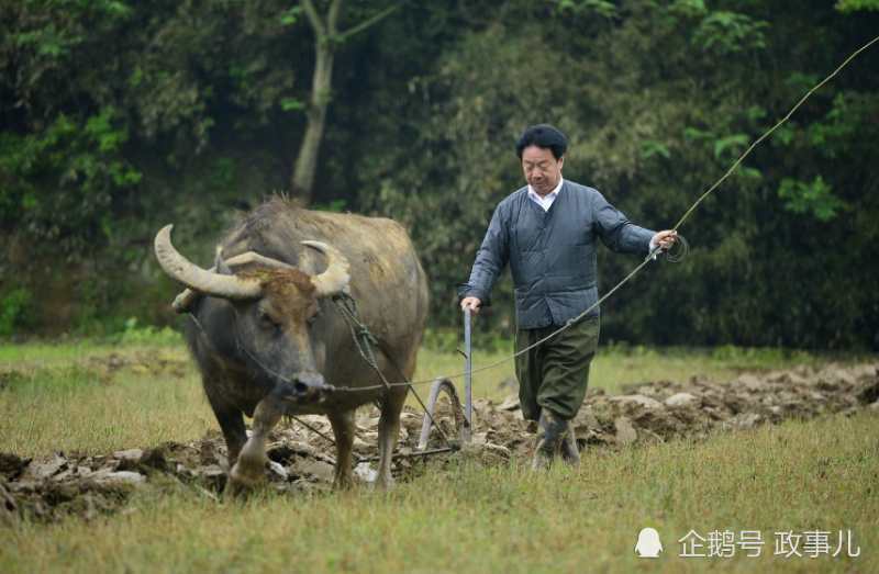 从省会市长到农民的李豆罗